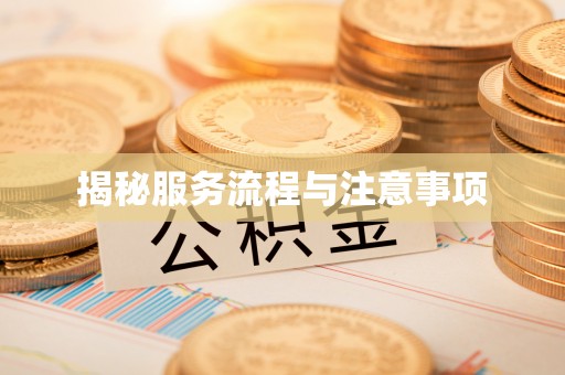正宁揭秘服务流程与注意事项