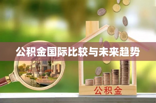 正宁公积金国际比较与未来趋势