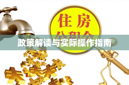 正宁政策解读与实际操作指南