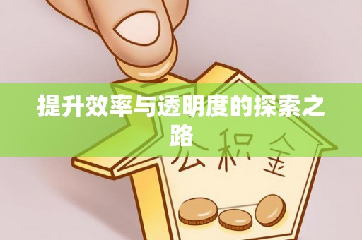 正宁提升效率与透明度的探索之路