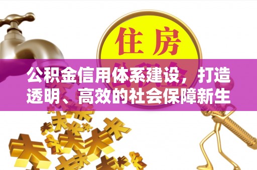 正宁公积金信用体系建设，打造透明、高效的社会保障新生态