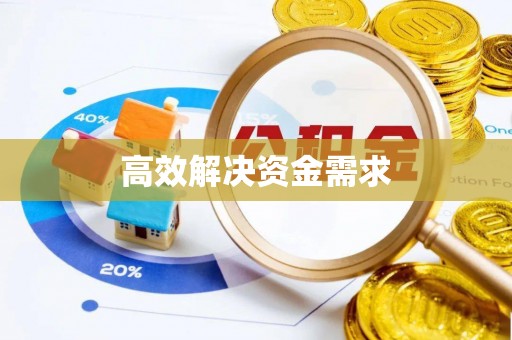 正宁高效解决资金需求