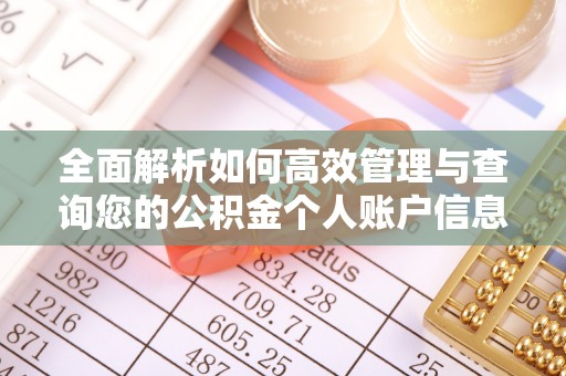 正宁全面解析如何高效管理与查询您的公积金个人账户信息