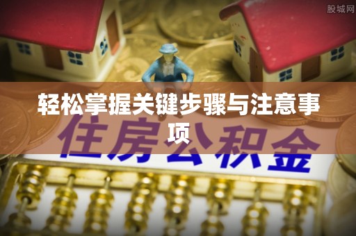 正宁轻松掌握关键步骤与注意事项