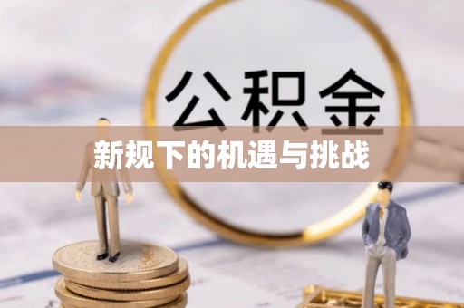 正宁新规下的机遇与挑战