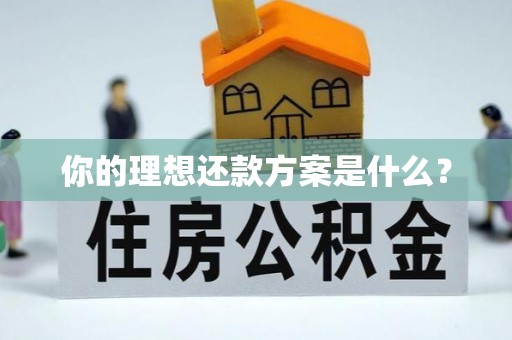 正宁你的理想还款方案是什么？