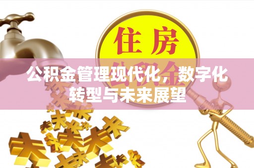 正宁公积金管理现代化，数字化转型与未来展望
