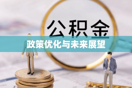 正宁政策优化与未来展望