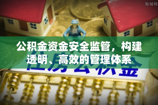 正宁公积金资金安全监管，构建透明、高效的管理体系