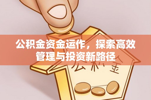 正宁公积金资金运作，探索高效管理与投资新路径