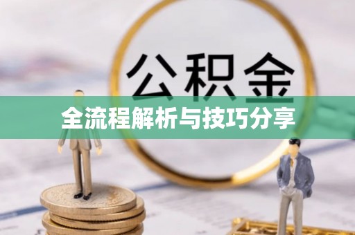 正宁全流程解析与技巧分享