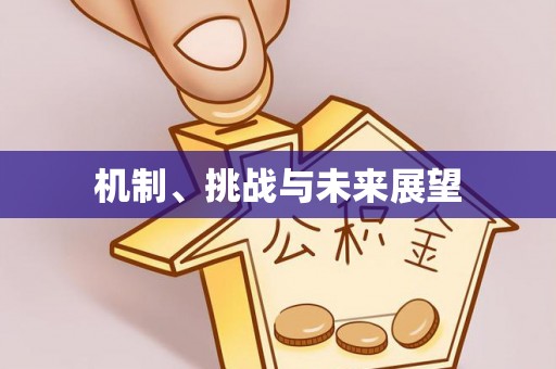 正宁机制、挑战与未来展望